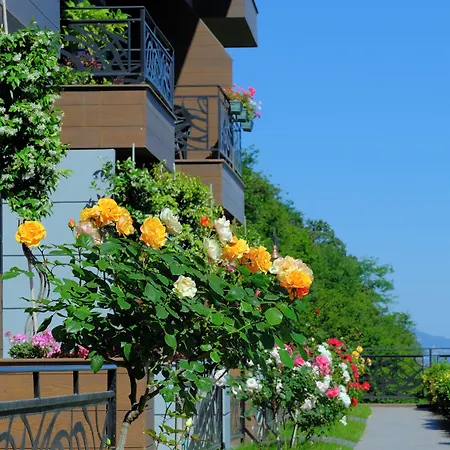 Peerless Τραμπζόν