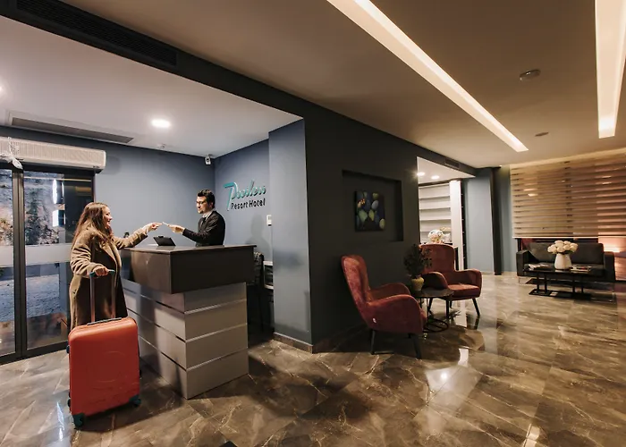 Hotel Peerless Trabzon